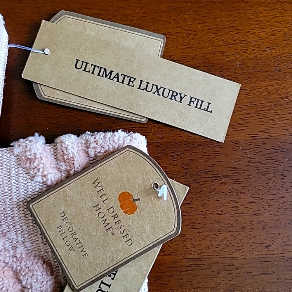 Plush Pumkin Pillow Covers Blush Pink 2 Pack, 19.5 x 19.5 - Picture 7 of 9